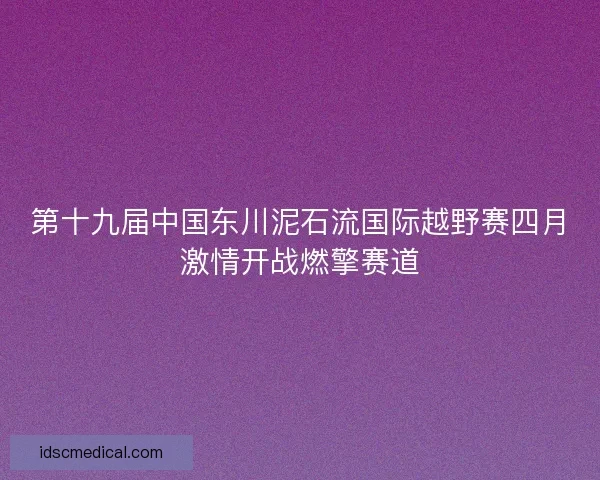 第十九届中国东川泥石流国际越野赛四月激情开战燃擎赛道