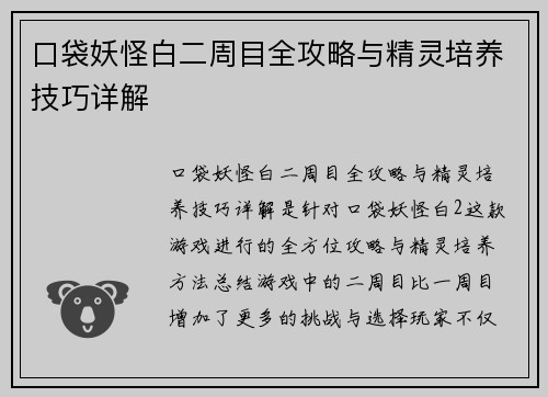 口袋妖怪白二周目全攻略与精灵培养技巧详解